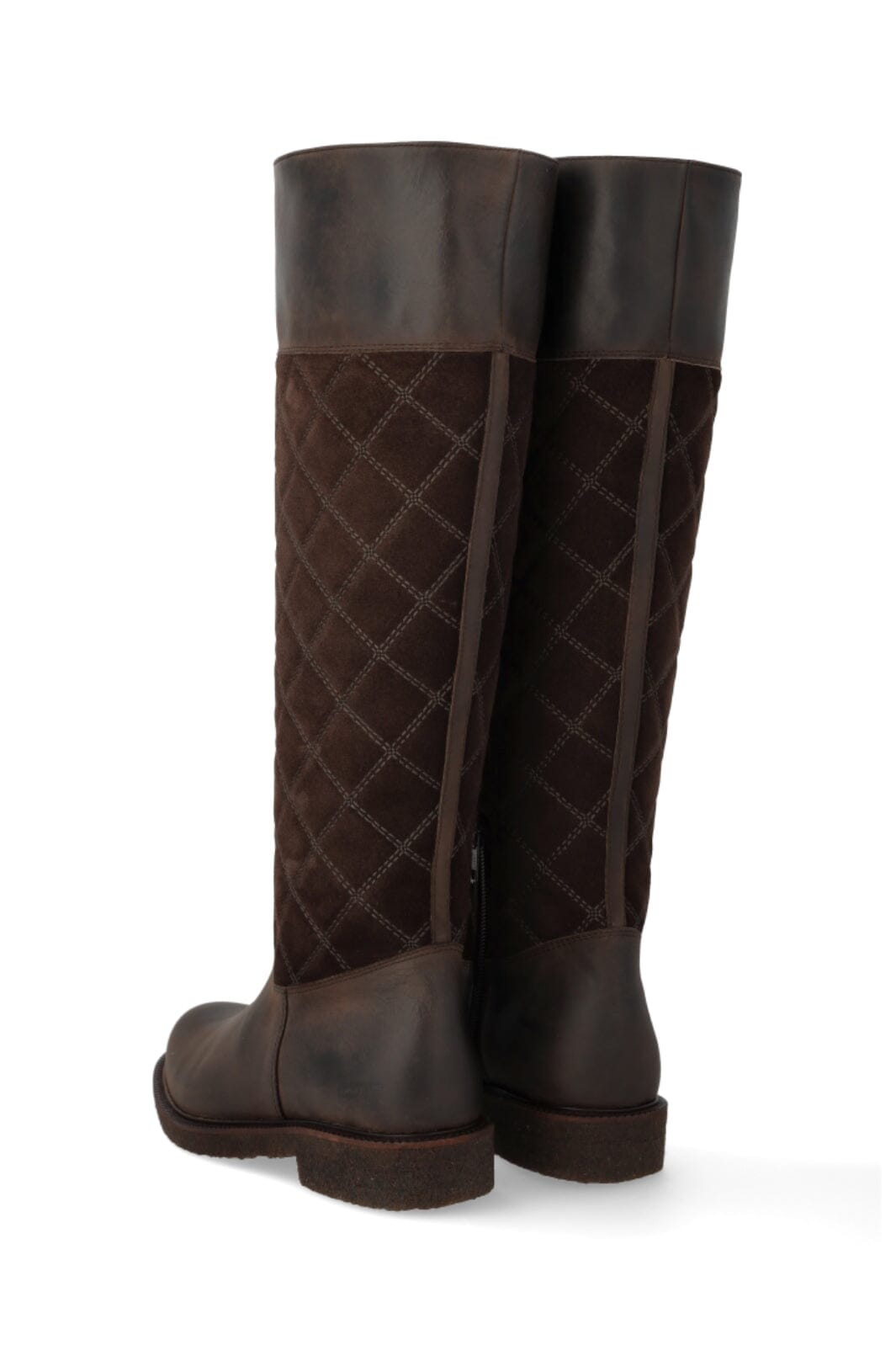 Angulus - 7862-101 7862-101 - Brown/dark Brown