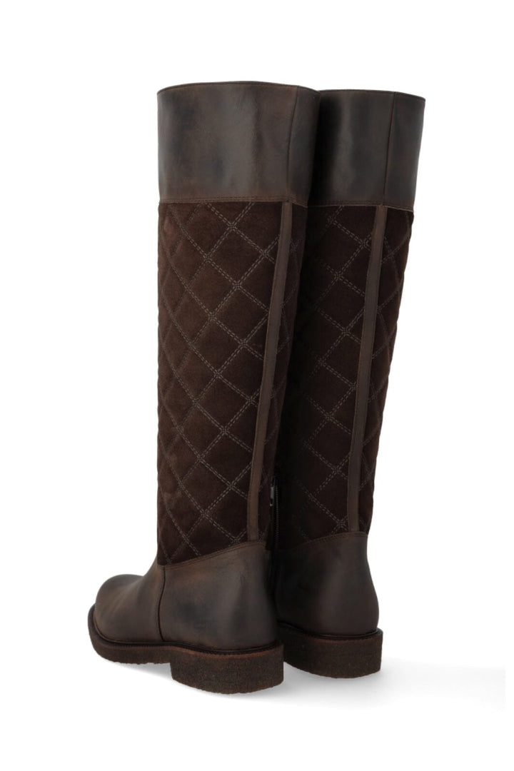 Angulus - 7862-101 7862-101 - Brown/dark Brown