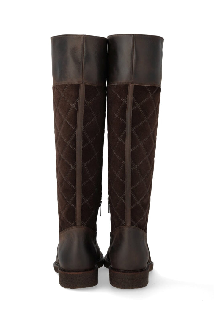 Angulus - 7862-101 7862-101 - Brown/dark Brown