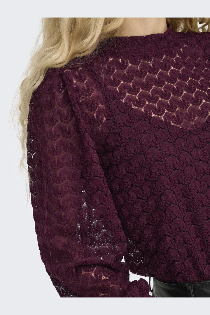 JDY - Jdyavery L/S Lace Top - 4745112 Fig