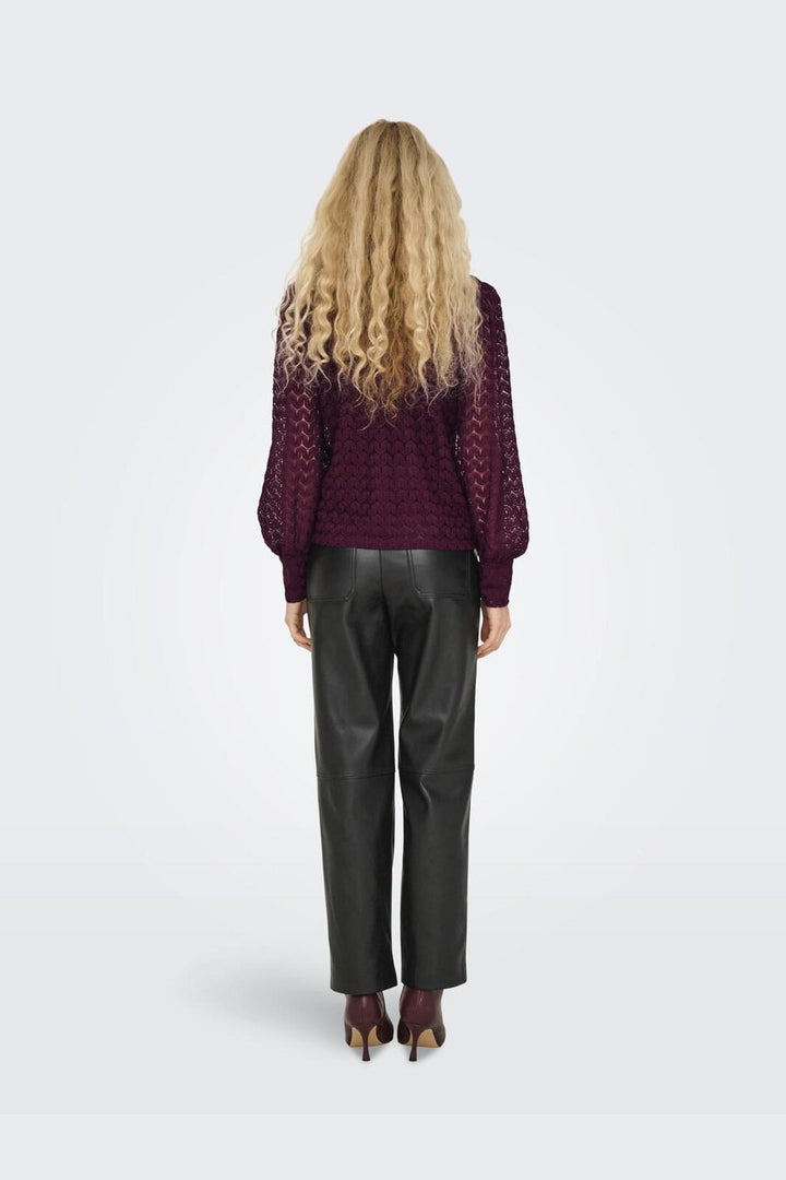 JDY - Jdyavery L/S Lace Top - 4745112 Fig