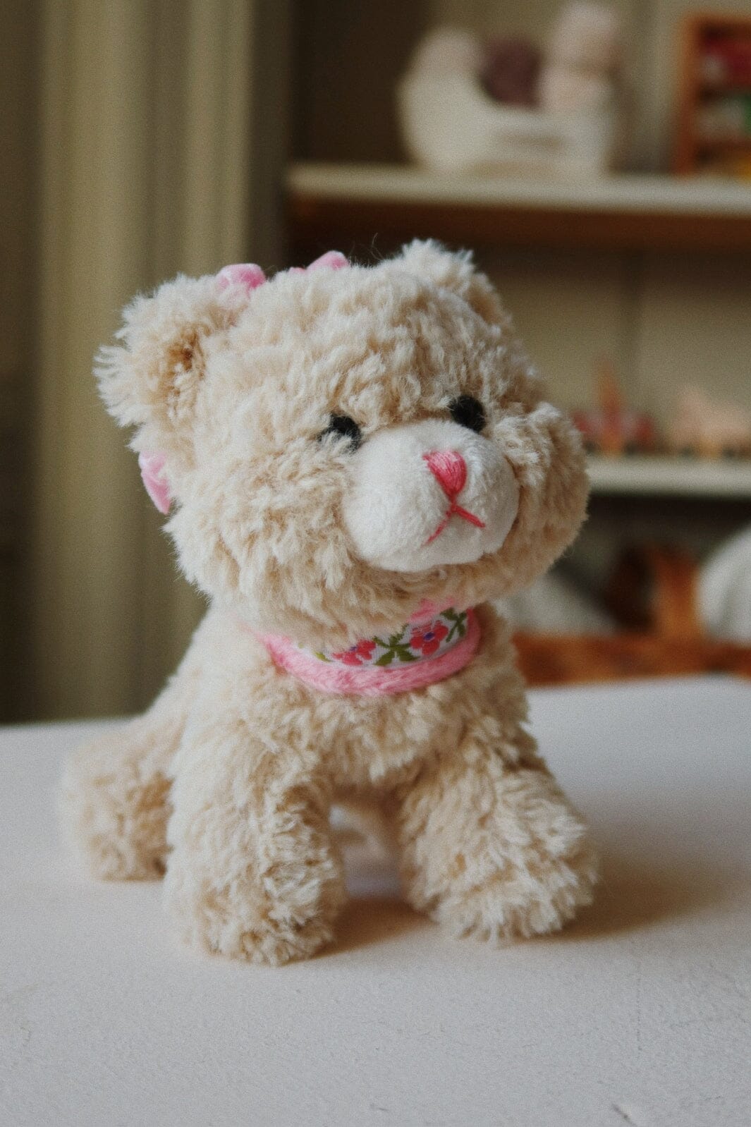 Konges Sløjd - Activity Kitty Ks103664 - Cat