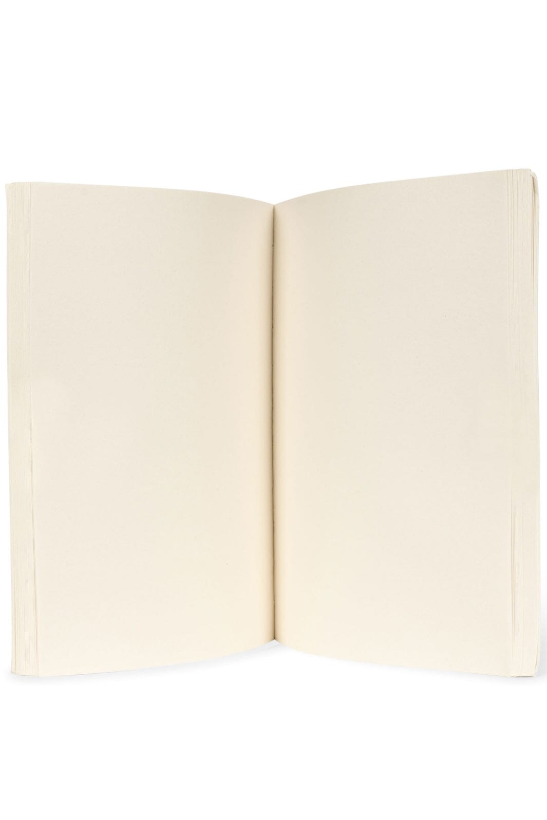 Konges Sløjd - Artist Set - Dino Tilbehør