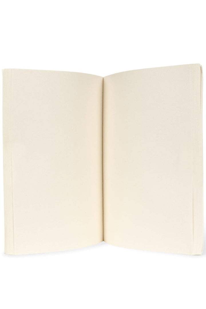 Konges Sløjd - Artist Set - Dino Tilbehør