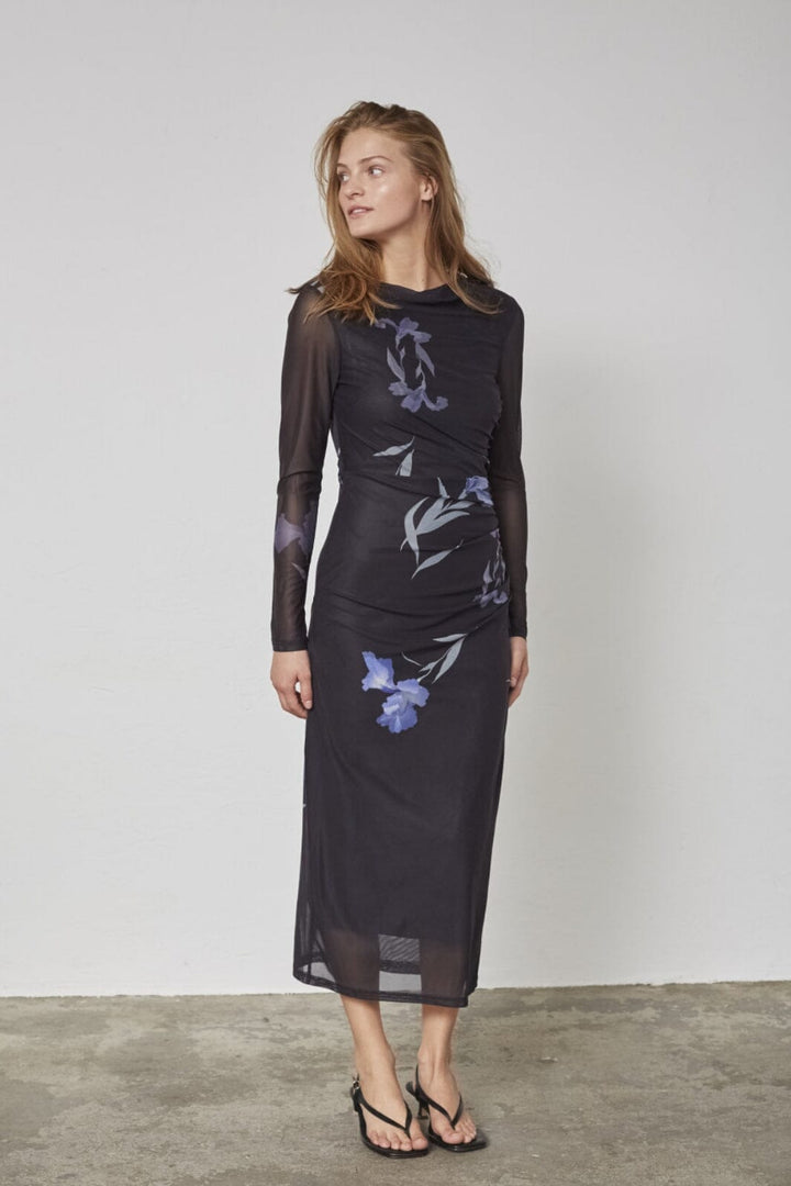 Sisters Point - New Esme-Dr 19368 - 813 - Blue Flower