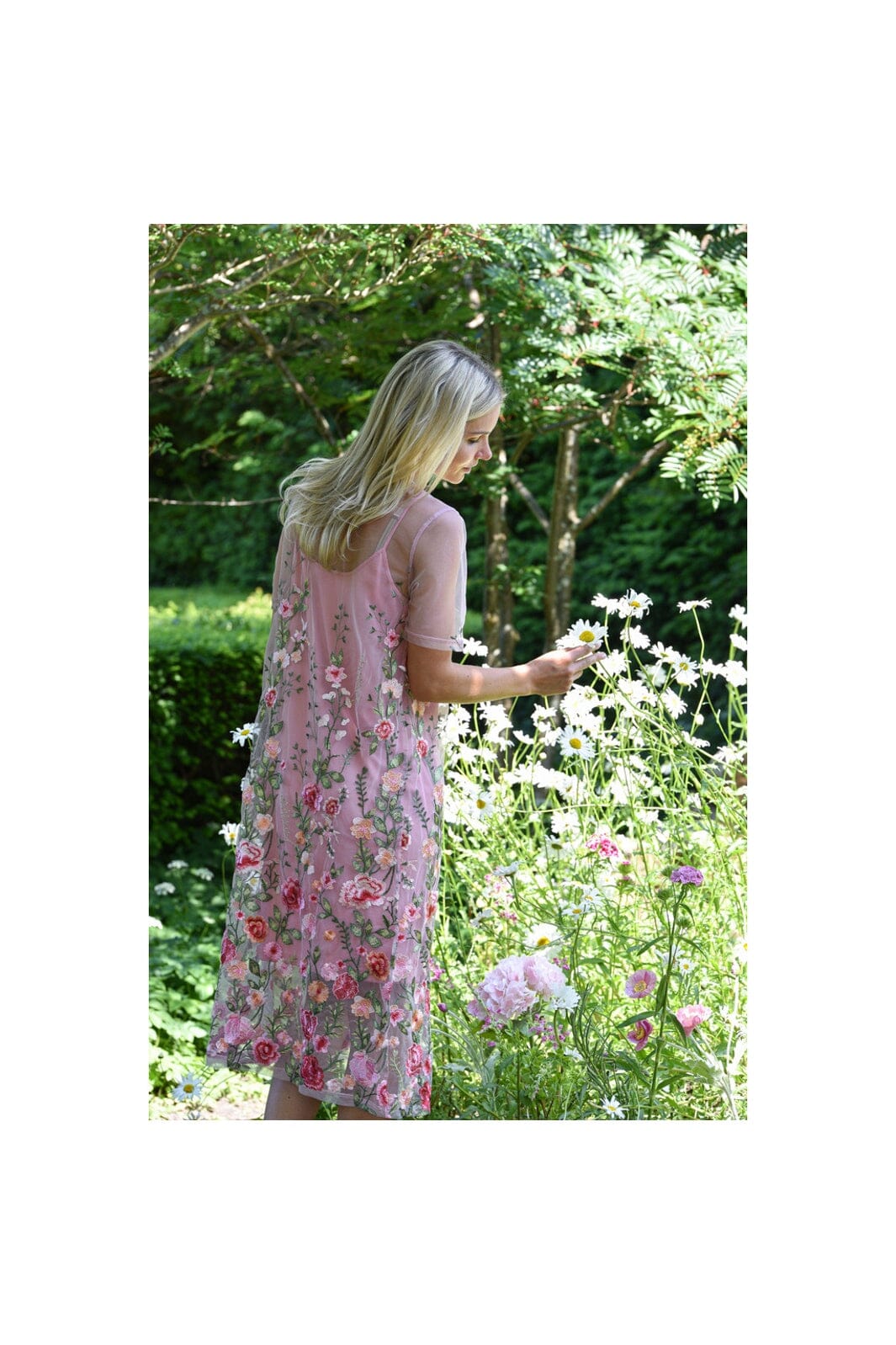 A-View - Fuschia Midi Dress AV7086 - 255 - Rose/Red