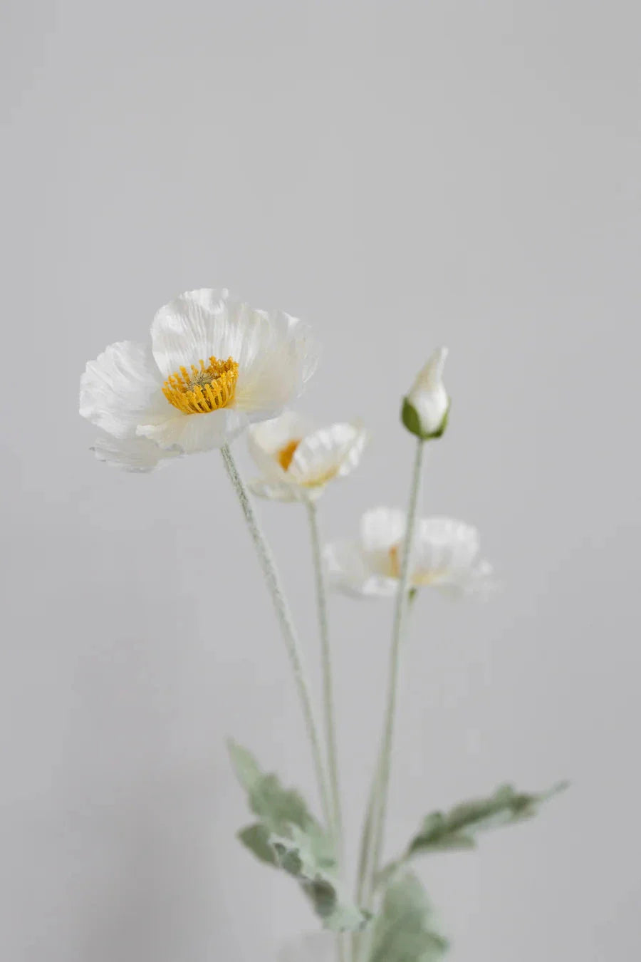 Bloom Objects - Artificial Cream Poppy 02-132 - Cream Dekoration 