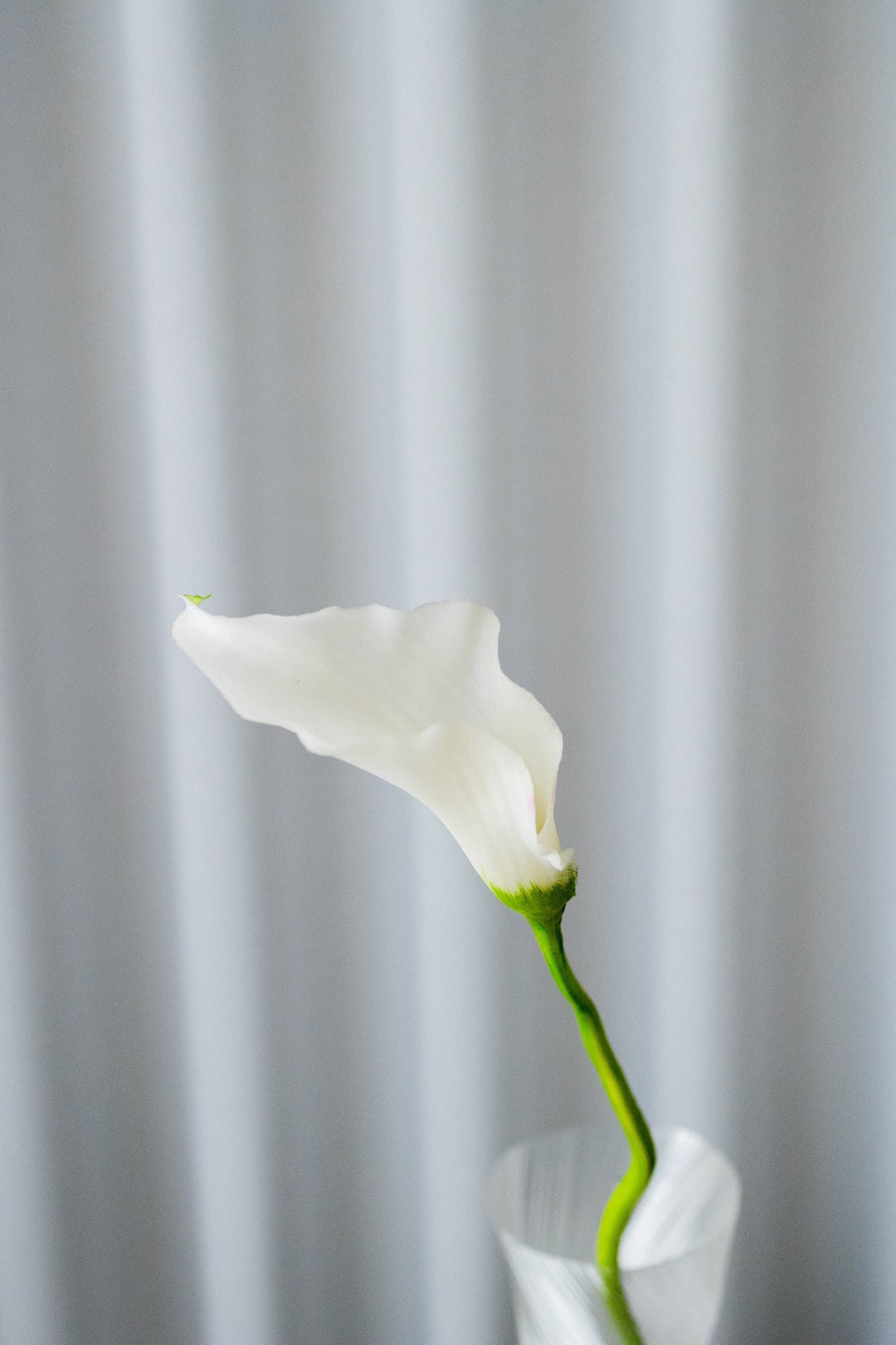 Bloom Objects - Artificial Lifelike Calla Lily - White - 02-306 White 