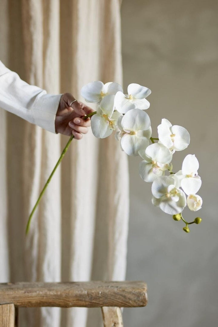 Bloomingville - Orchid Stilk, Hvid, Kunstige Blomster 82072093 - White