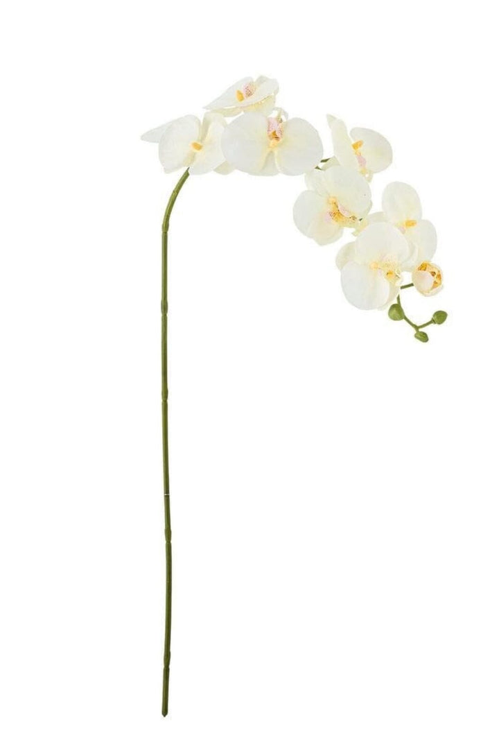 Bloomingville - Orchid Stilk, Hvid, Kunstige Blomster 82072093 - White