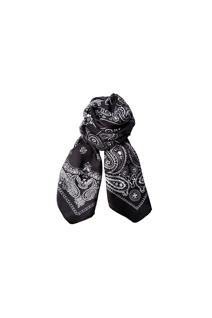 Black Colour - Bctrish Mini Scarf 3654 - Black