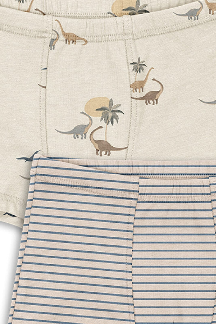 Konges Sløjd - Basic 2 Pack Boy Boxers Gots Ks103693 - Kubi/stripe Bluie