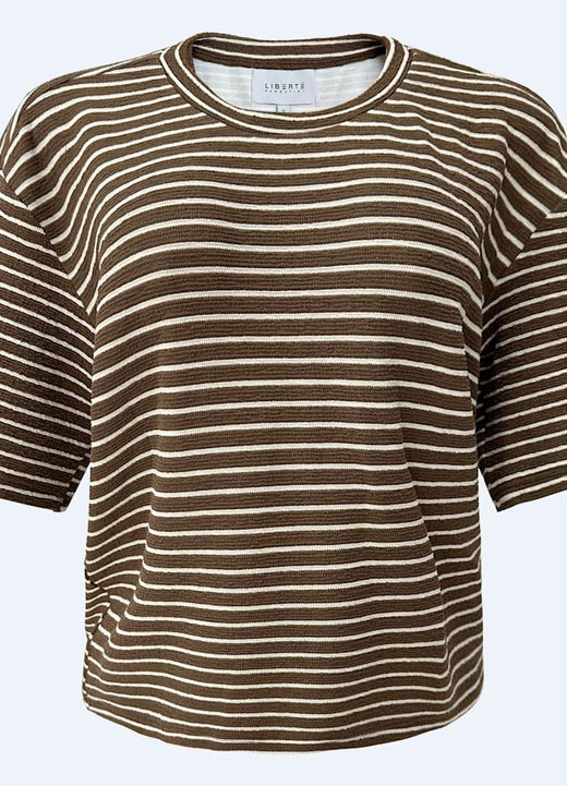 Liberte - Sus Tshirt 22356 - Brown Creme Stripe T-shirts 
