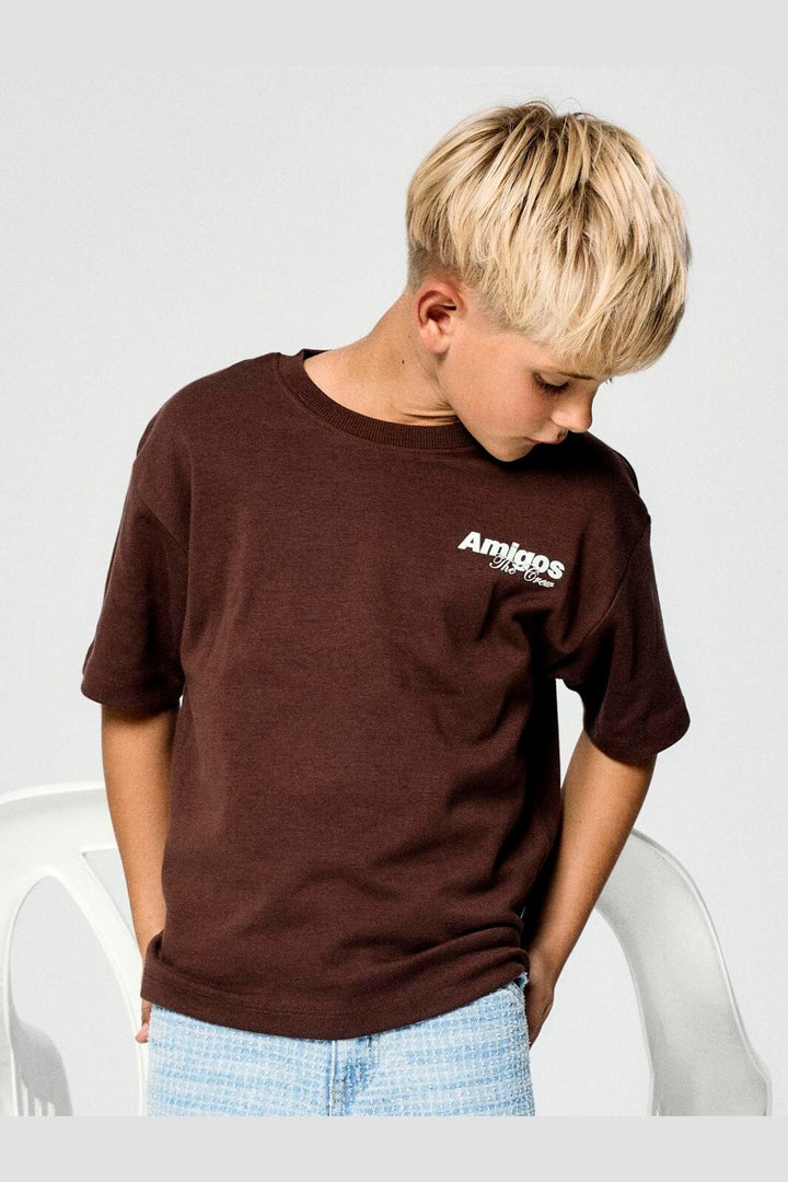 Name It - Nkmholle Ss Rlx Top Box - 4997394 Chestnut