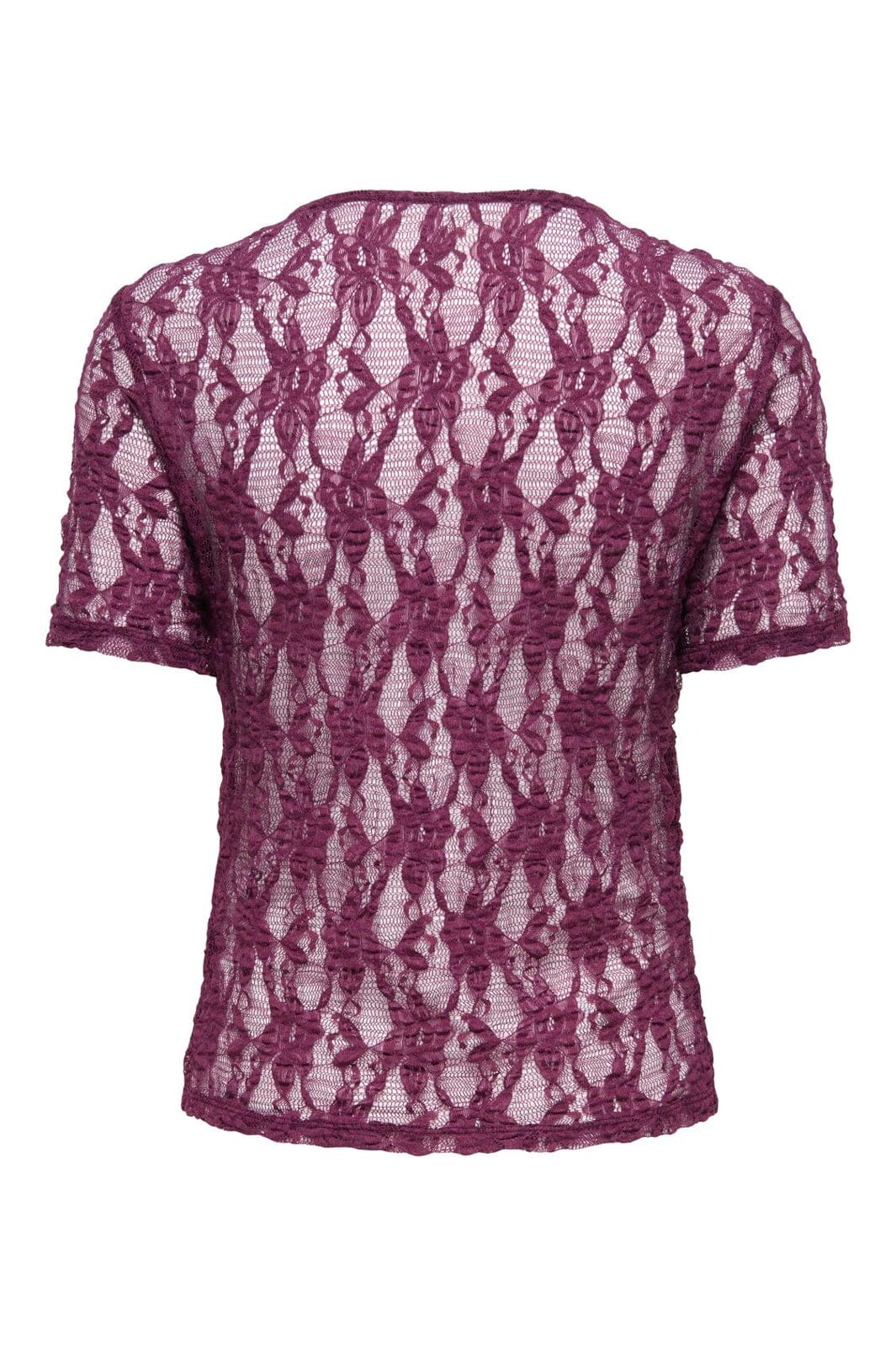 Only - Onlalba S/S Lace Top - 5174334 Fig