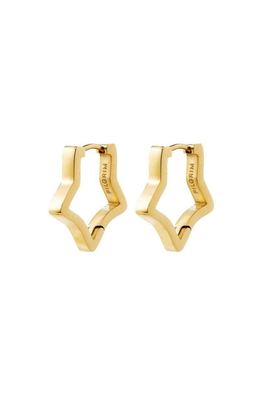 Pilgrim - Solari Earrings Gold-plated 262622073 - Gold Plated