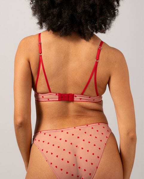 Understatement Underwear - Mesh Triangle Bralette - Pale Pink/Deep Red BH 